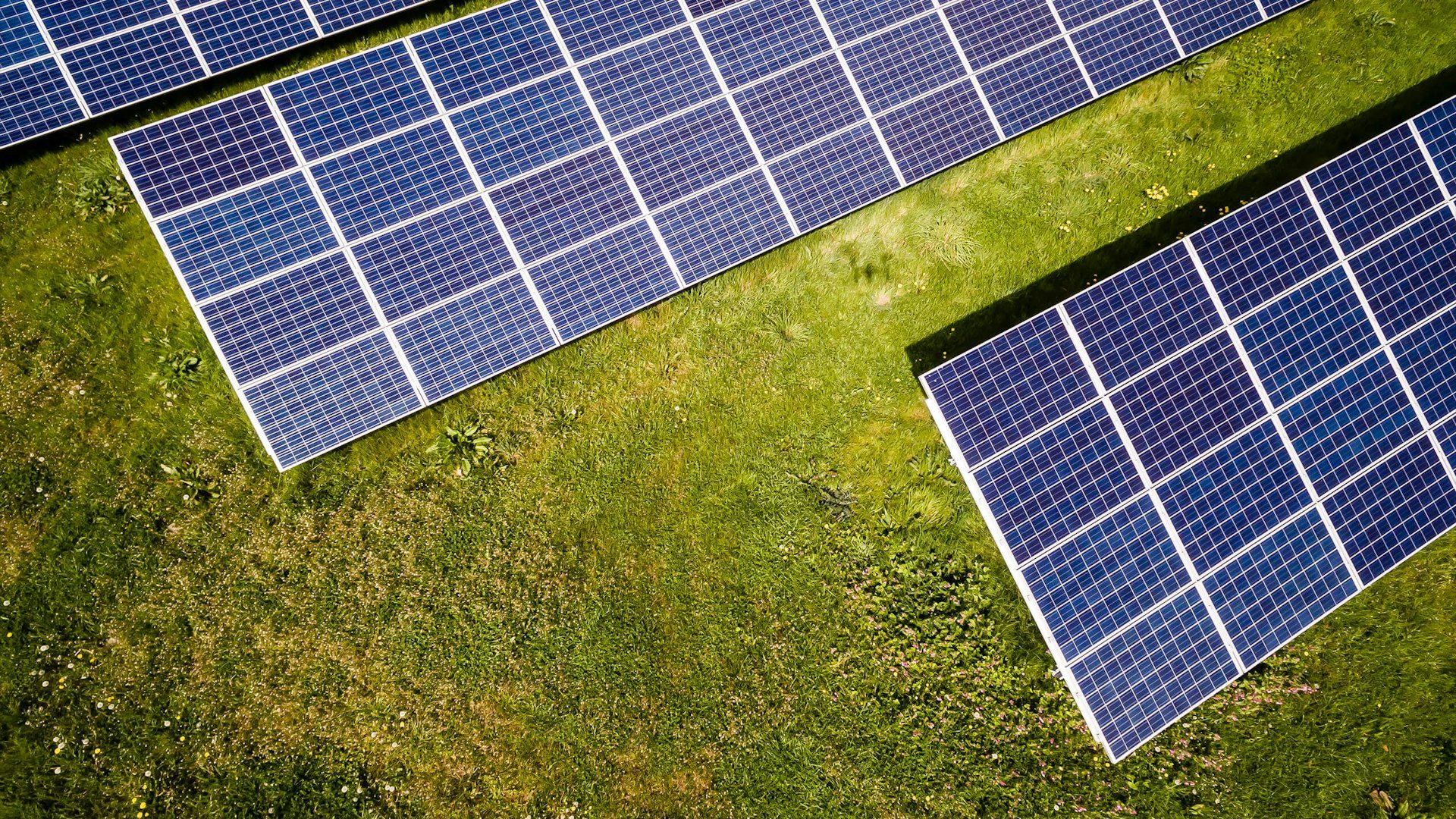 Solar panels on grassland ground mounts